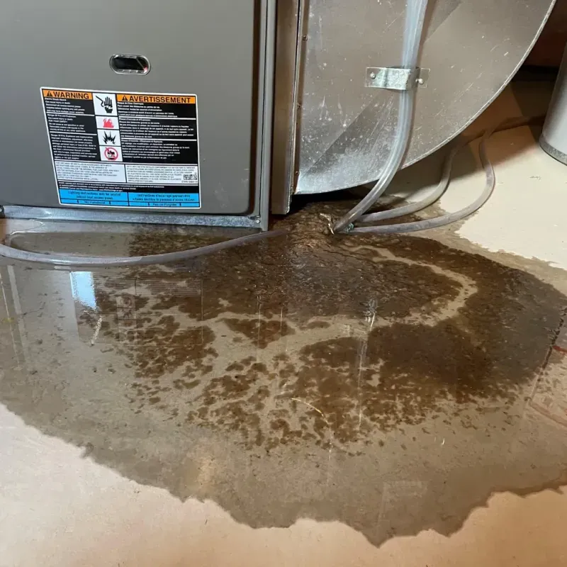 Appliance Leak Cleanup in Mora, NM